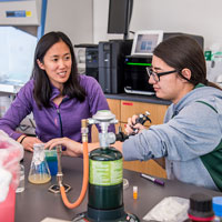 Tuitoring Program Available to Students
