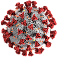 If You Are Sick and Have Been Diagnosed with COVID-19?