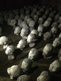 Piece by Ghanaian sculptor Kwame Akoto-Bamfo A powerful exhibit by Ghanaian sculptor Kwame Akoto-Bamfo
