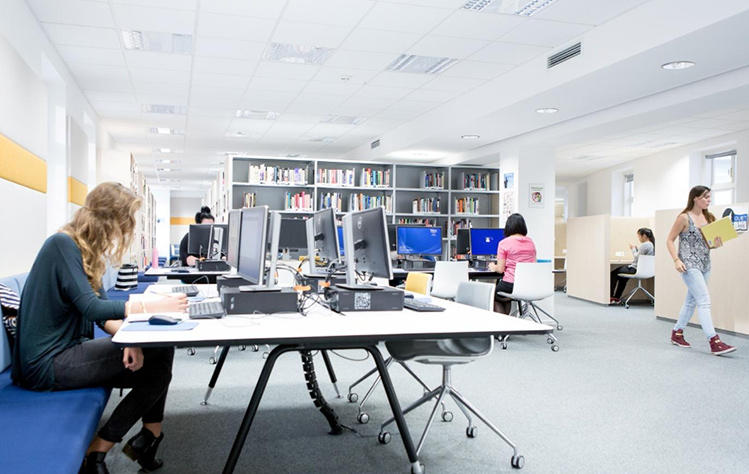 Students in the library