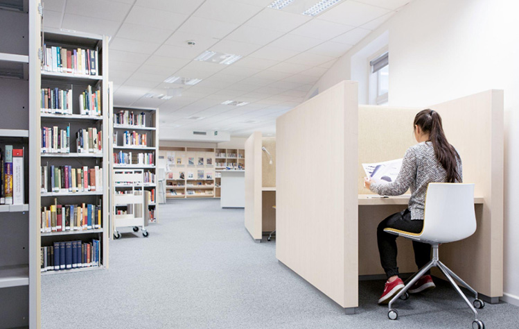 Research in the library