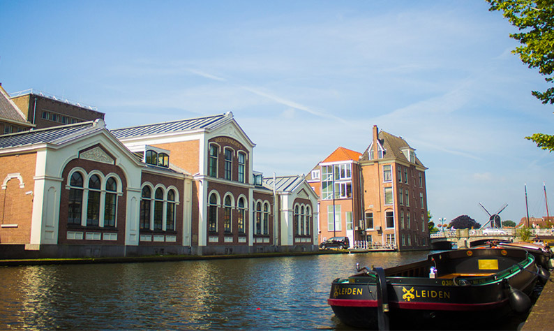 Webster University Leiden Campus