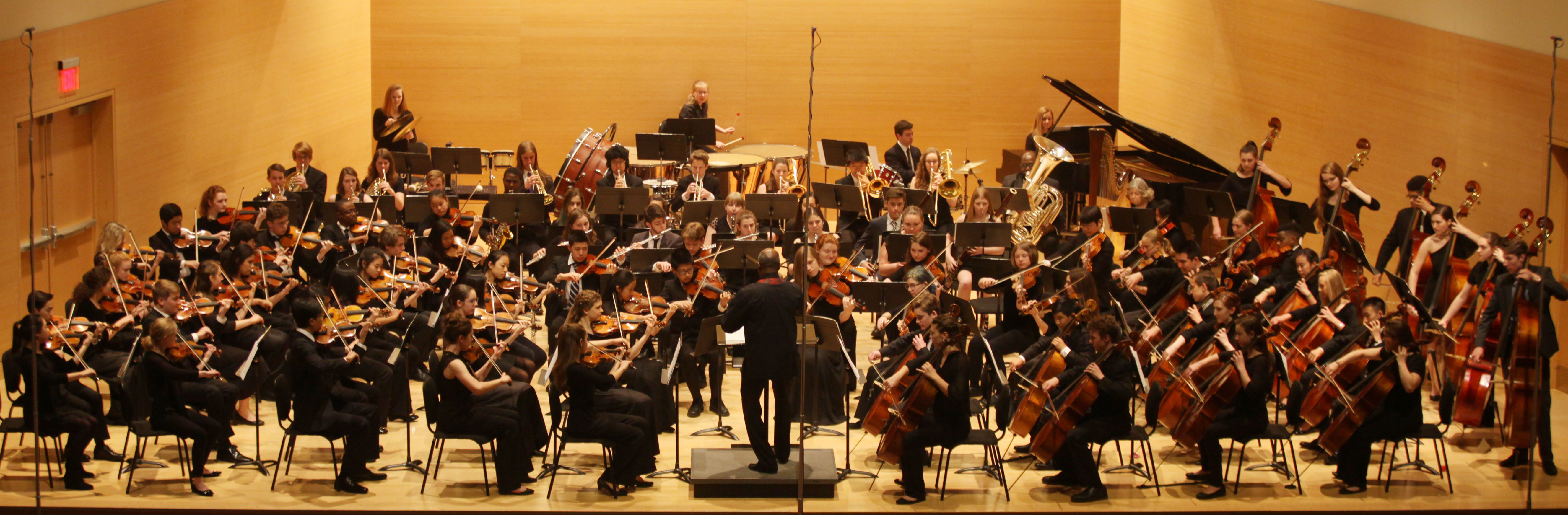 YPSO Full Orchestra