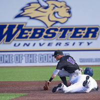 Webster Baseball