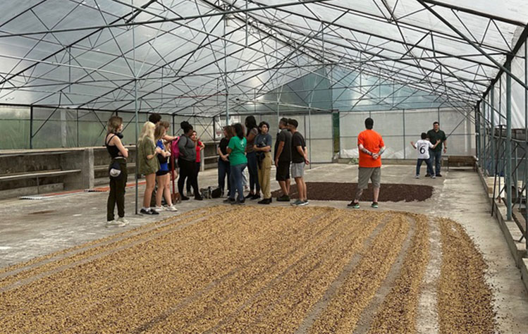 Webster students visit a coffee bean nursery in Costa Rica.