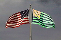 Flag and Its Shadow