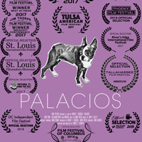 Professor's 'Palacios' Winning Film Awards Across the U.S.
