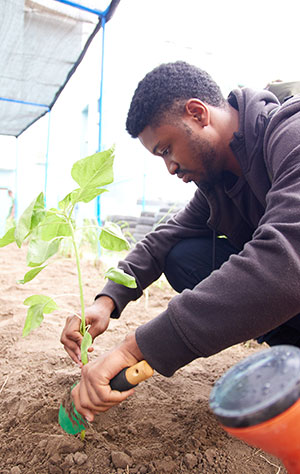 Webster Ghana Community Garden Opening 2023