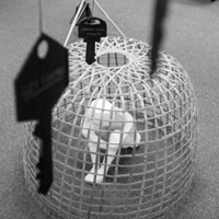 Kallahan's "Trapped" Kallahan's "Trapped"