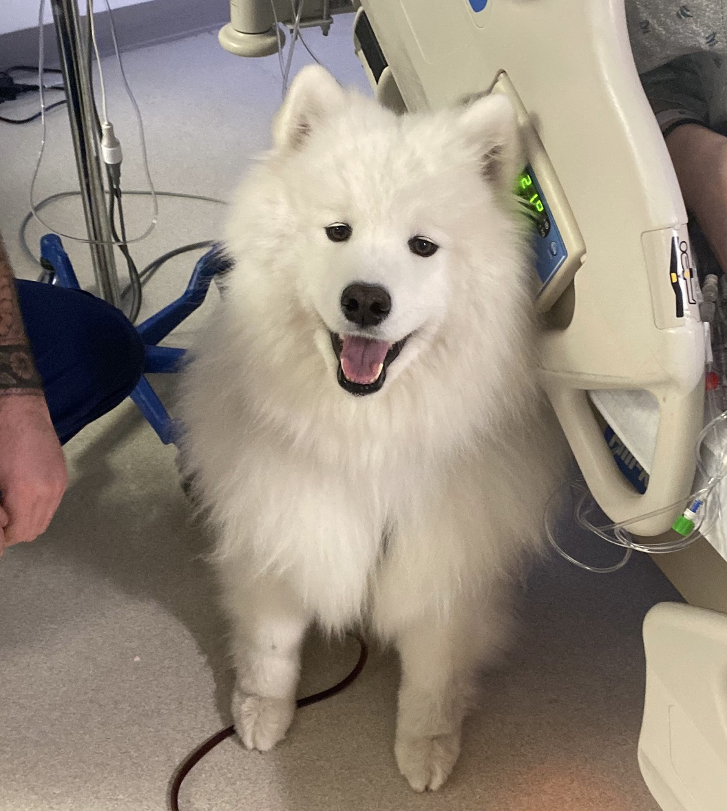 Jules smiles at the camera during a bedside hospital visit.