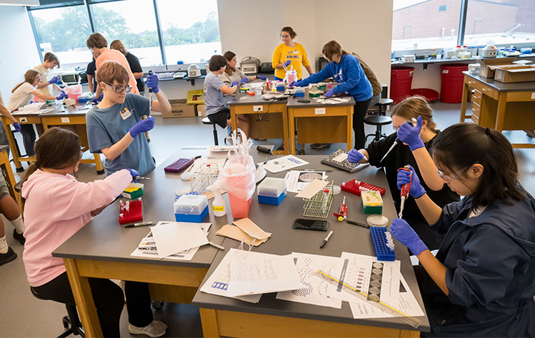 Phage Summer Camp attendees work to isolate bacteriophages from environmental samples. 