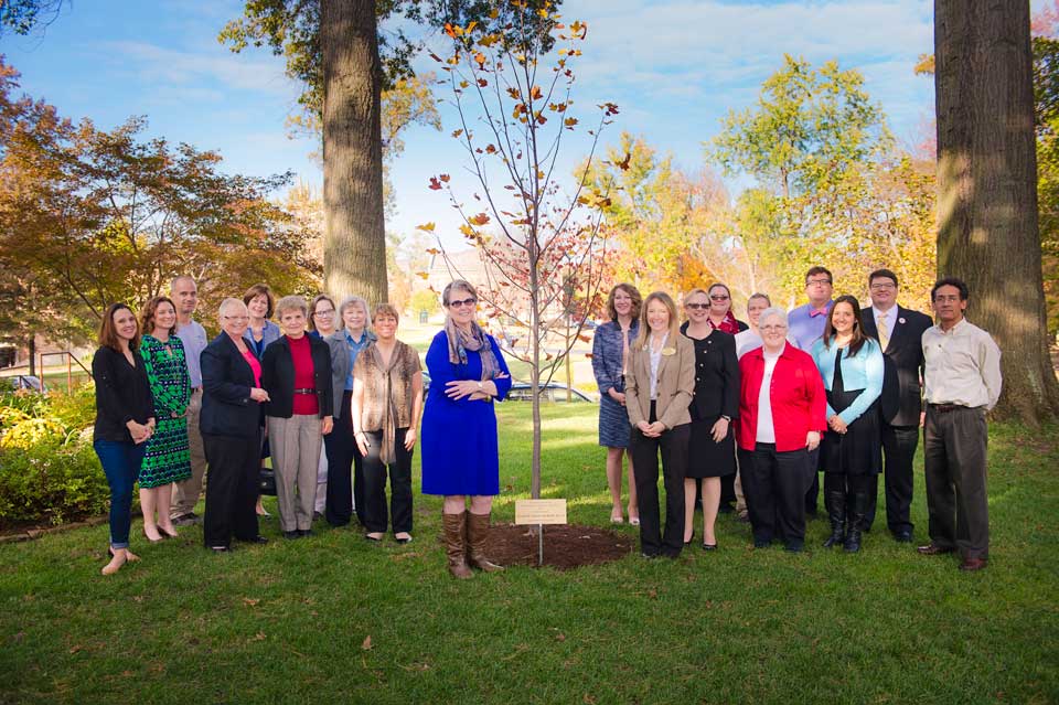 Robb Centennial Tree