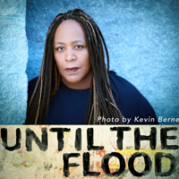 The Rep's 'Until the Flood' Explores Social Unrest in St. Louis