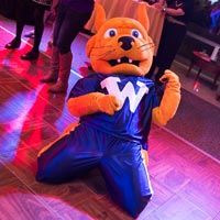 Snapshots: 'Dance Through the Decades' | Webster University