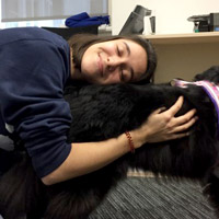 Dogs in Vienna as Student Finals Therapy