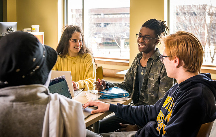 Group of undergradute students studying together.