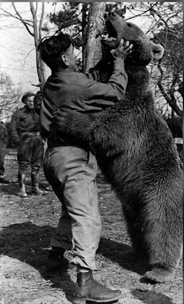 Wojtek the Bear